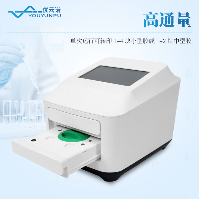 全能蛋白轉印系統