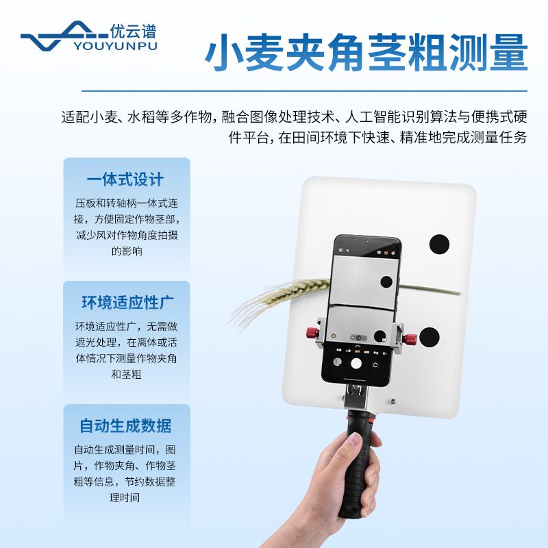 小麥表型分析系統