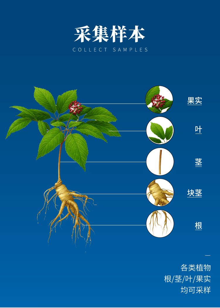 詳情_(kāi)05_750x1047